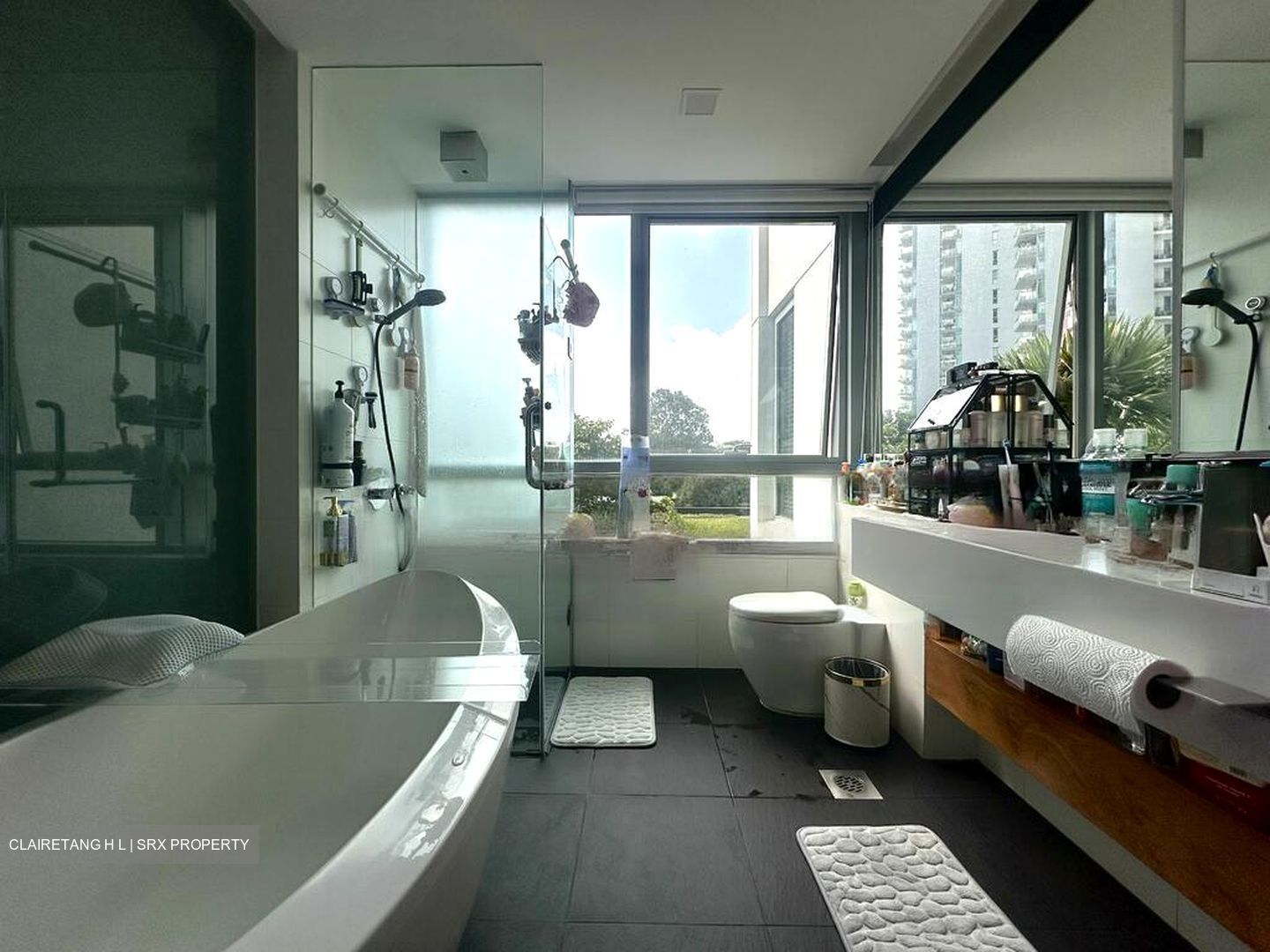 The View @ Meyer (D15), Apartment #469133321